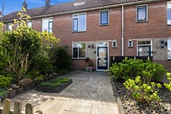 Scholekster 41_05.jpg